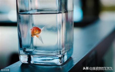 魚死了怎麼辦